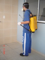 /album/dedetiza%c3%a7%c3%a3o/dedetizacao-tecnico-jpg/