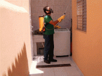 /album/dedetiza%c3%a7%c3%a3o/tecnicos-gif/